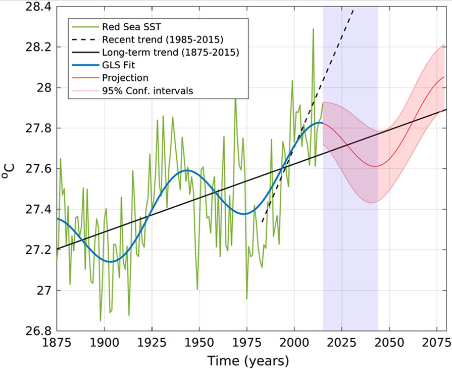 Figuur 16: Projectie van tijdreeksen voor zee-oppervlaktetemperatuur (SST) op basis van de superpositie van lineaire trends en het laagfrequente Atlantic Multidecadal Oscillation signaal (rode lijn), begrensd door de 95% betrouwbaarheidsintervallen (gearceerde rode gebieden). Het jaargemiddelde SST wordt groen weergegeven. De ononderbroken zwarte lijn geeft trends weer op basis van de historische periode (1880-2015); de zwarte stippellijn geeft trends weer op basis van het satelliet tijdperk (1985-2015). Het gearceerde blauwe gebied markeert de periode van de geprojecteerde negatieve trends.